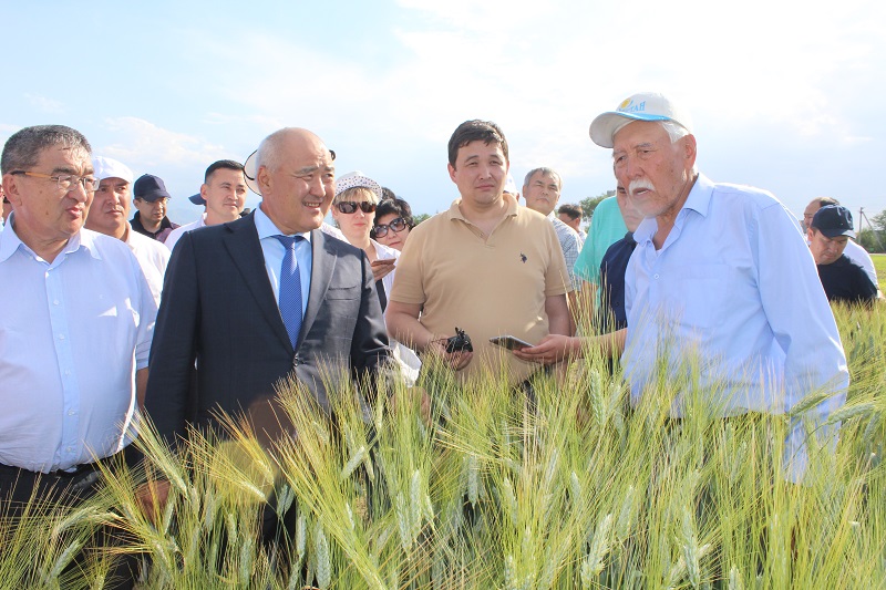 Өмірзақ Шөкеев «Қаскелең» агропаркі пилоттық жобасының жұмысымен танысты