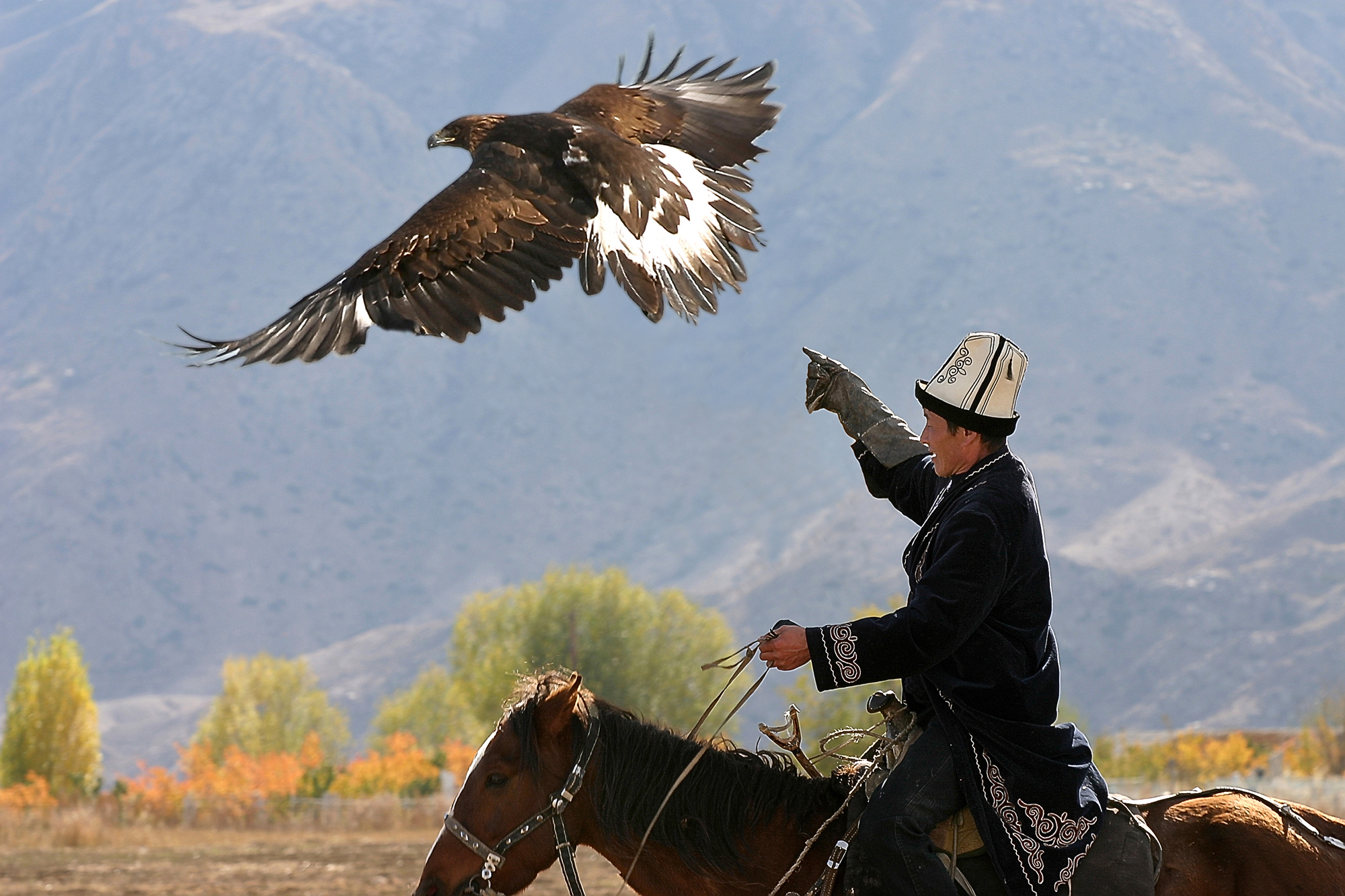 Елордада екінші мәрте «PHOTOfest.KZ» халықаралық фотофестивалі өтеді