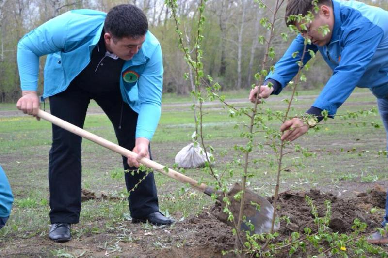 Елімізде алғаш рет «жасыл» сенбілік өтеді