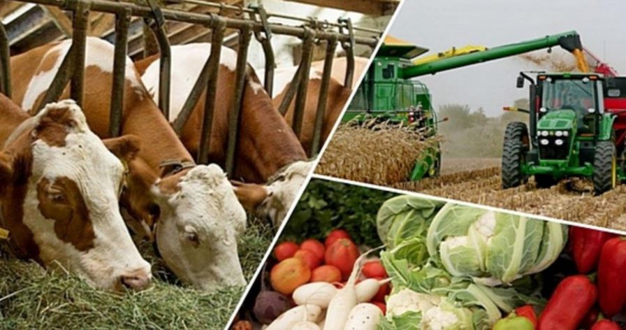 Халықаралық агрофорум инвесторларды ауыл бизнесіне шақырды