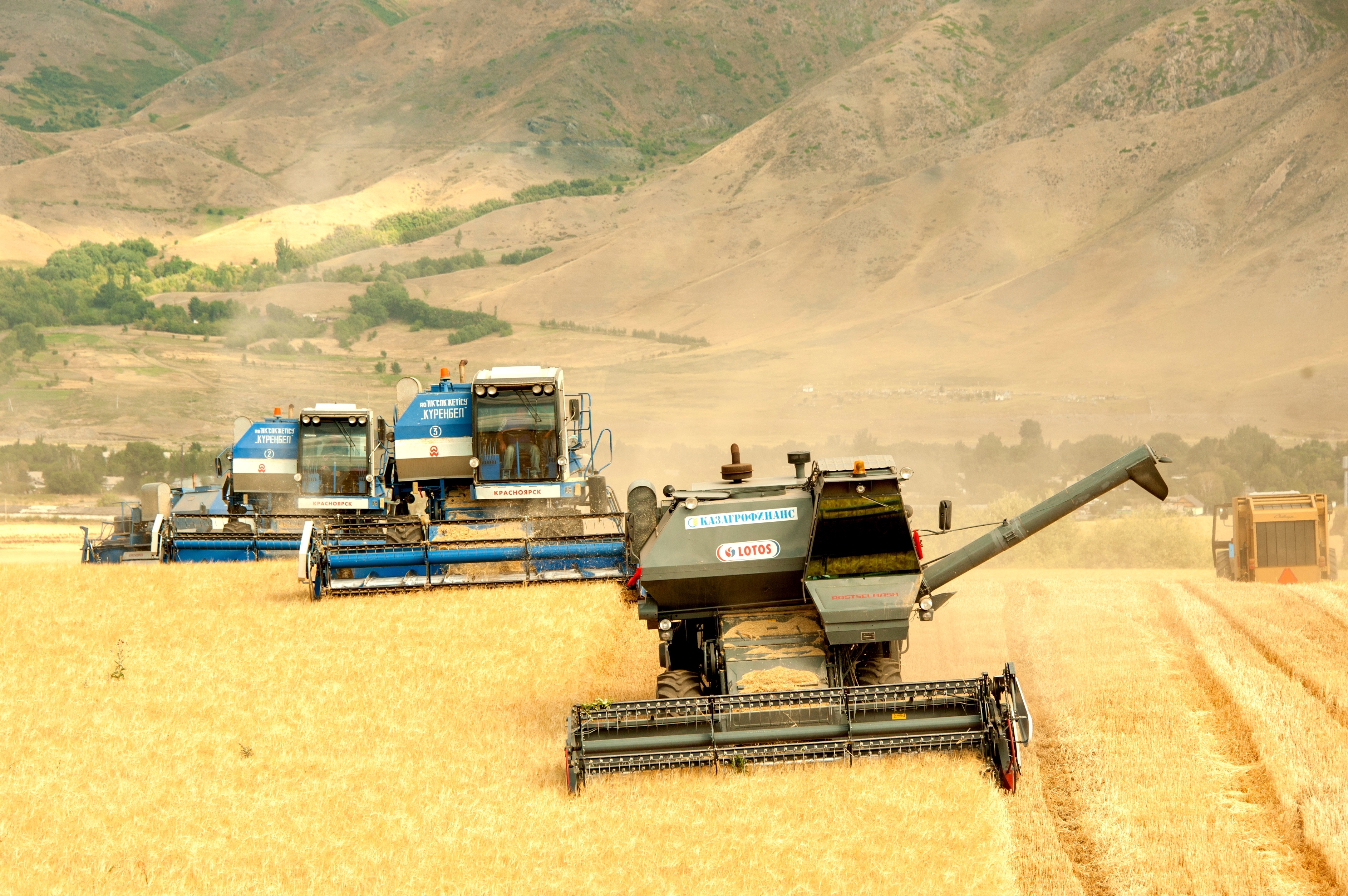 Жетісуда егін жинау науқаны басталды