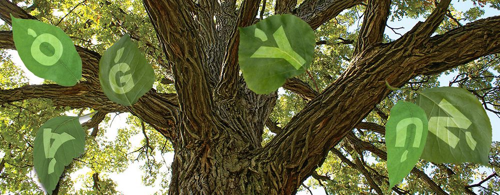 Әліпби – жазуымыздың іргетасы