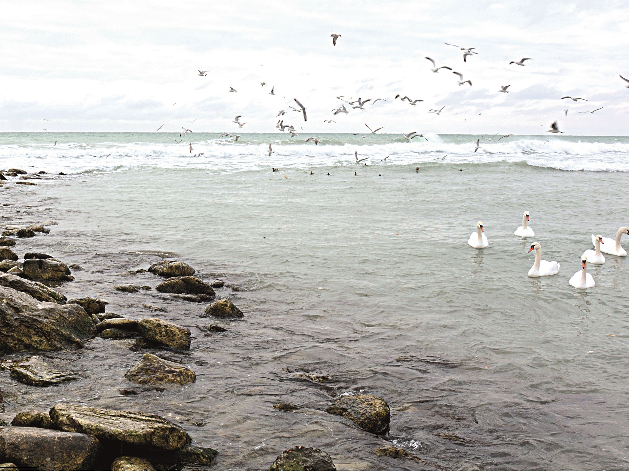 Каспий мәртебесі: Бес мемлекетті толғандырған мәселе Ақтау саммитінде қаралады