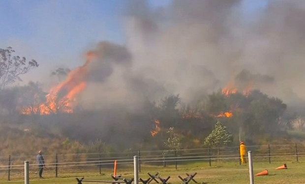 Австралияда орман өртенді