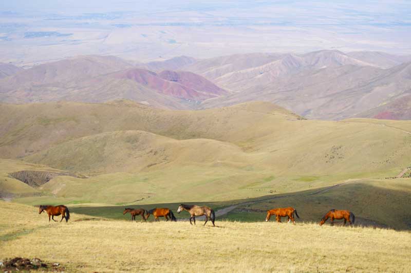 Бұқар жырындағы бүгінгі тұрпат