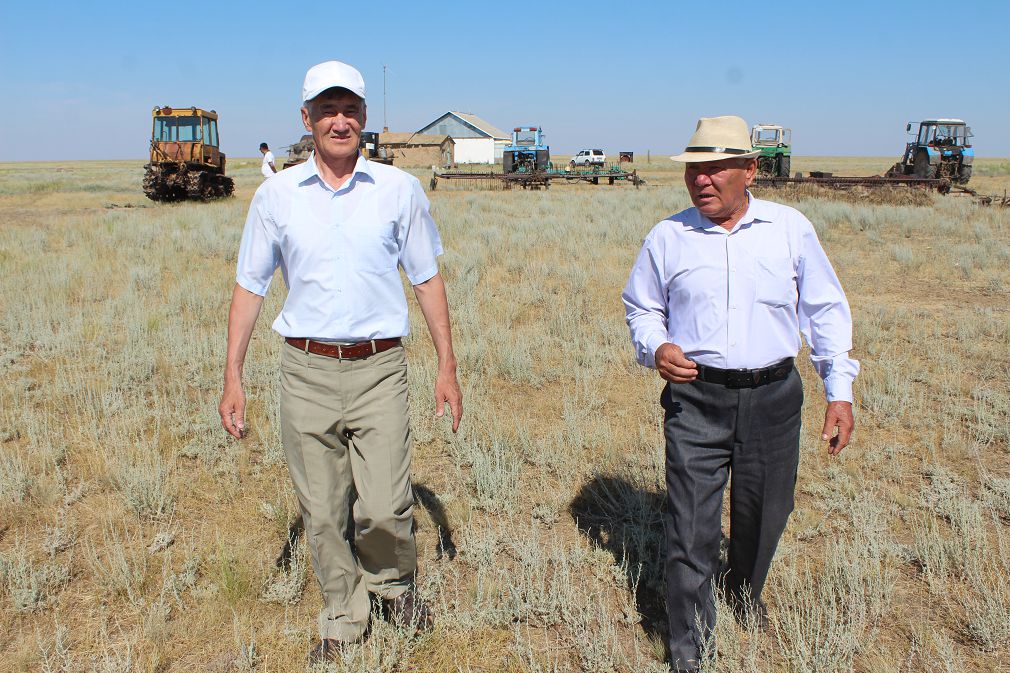 Игілікке төккен тер