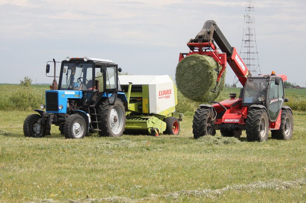 Малы тоқтың – елі тоқ
