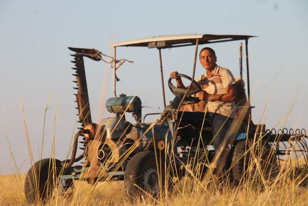 Көгерістен шыққан конструктор
