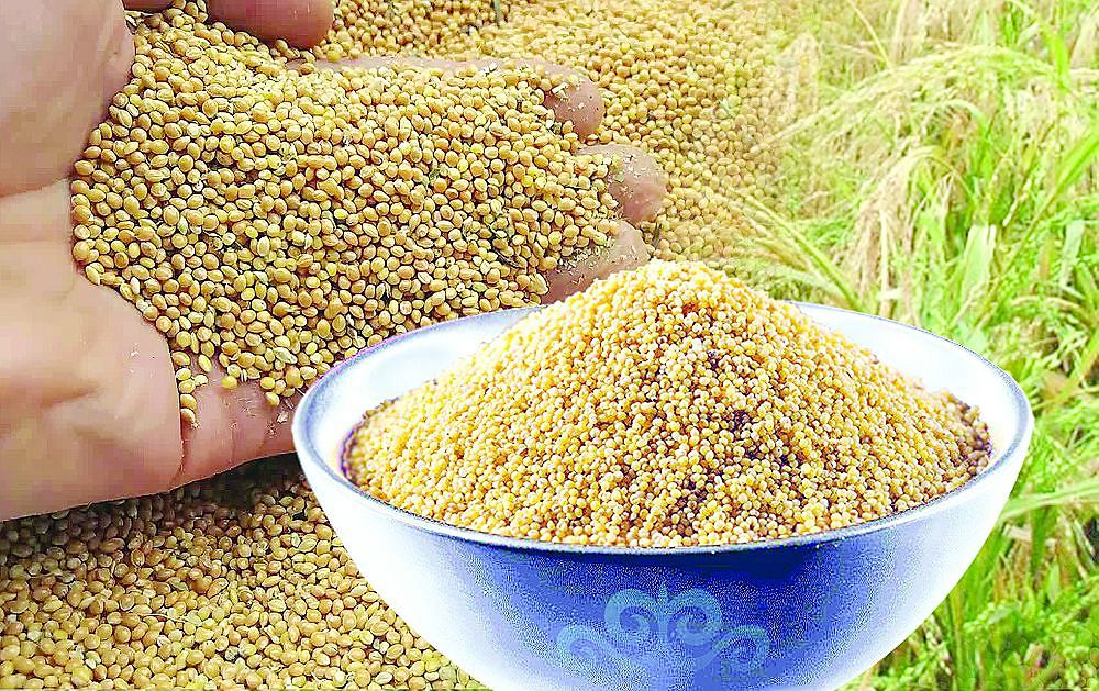 Дилдо жүргізетін жас қызыл шашты әдемі етіп қойды