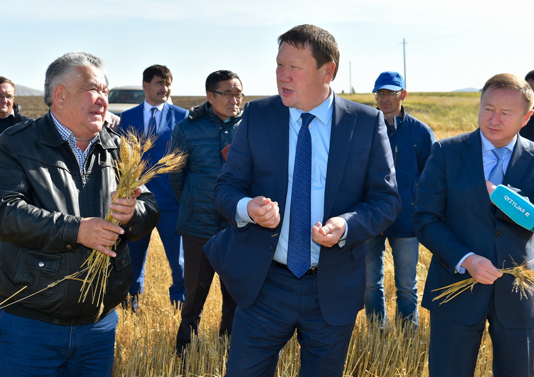 Солтүстік Қазақстанда бидай өнімділігінің жаңа рекорды тіркелді