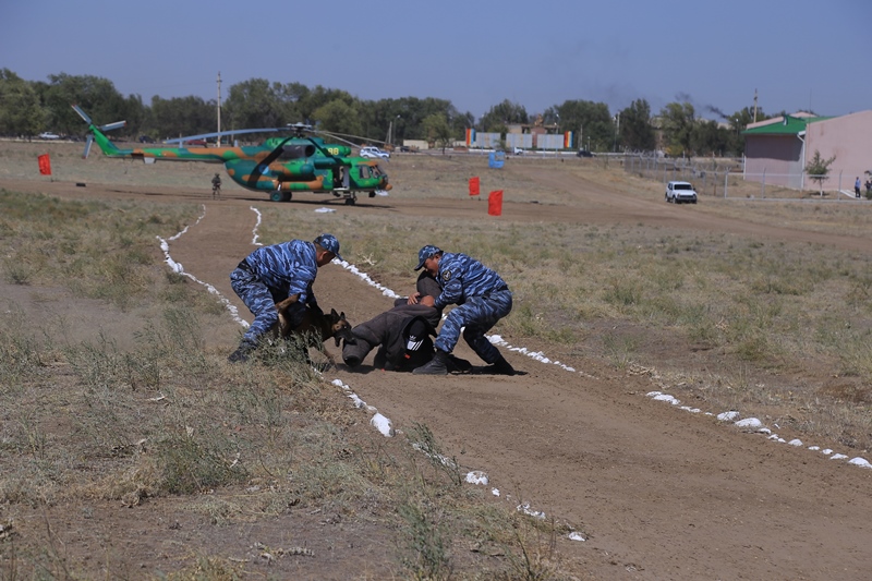 Тоғыз тонна есірткі тәркіленді