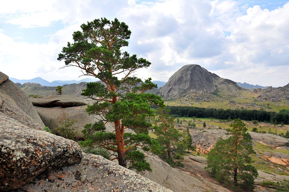 Туған жерін сүйе алмаған, сүйе алар ма туған елін?