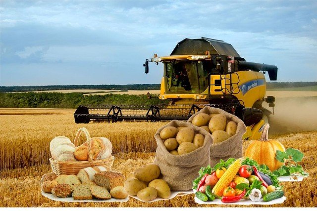 Қостанайда Мәжіліс депутаттары агроөнеркәсіп кешенін реттеу туралы заң жобасын талқылады