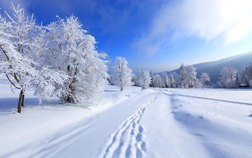 Қыс қыспаққа алмасын десек...