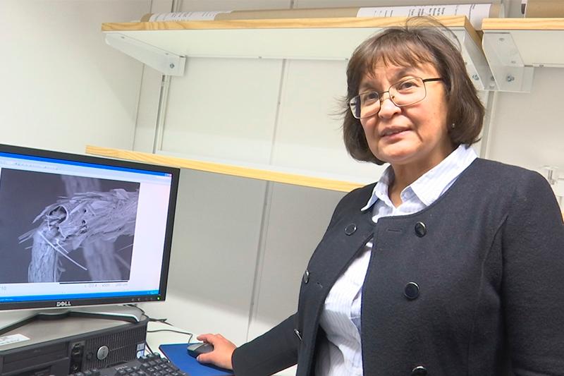 Қазақ ғалымы Швецияда су тазартудың экологиялық таза әдісін ойлап тапты