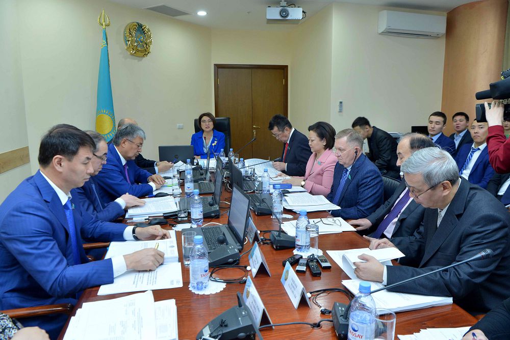 Сенат комитеті кинематография мәселелері жөніндегі заң жобаларын қарады     