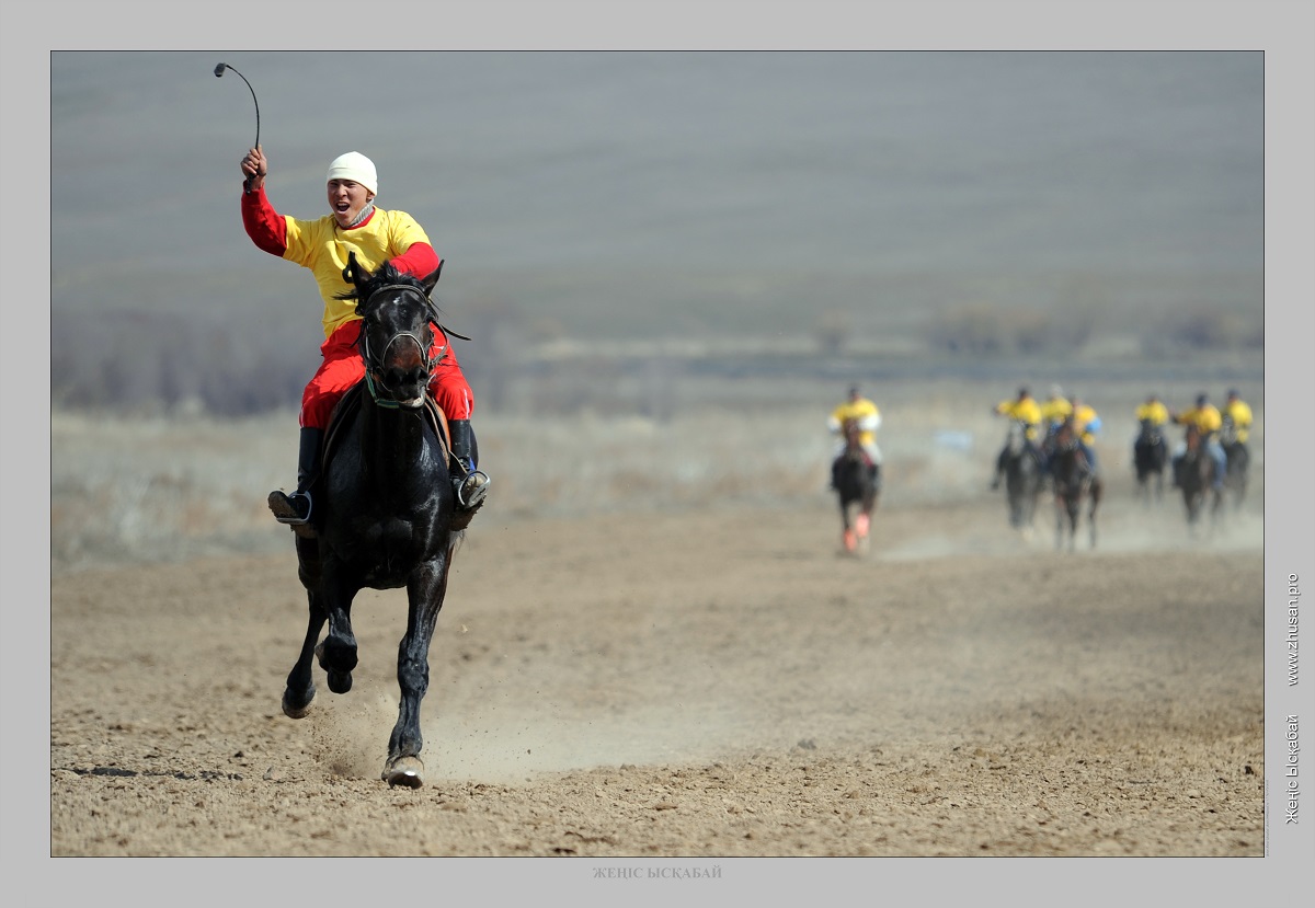 Жүйрік жылқының сипаты