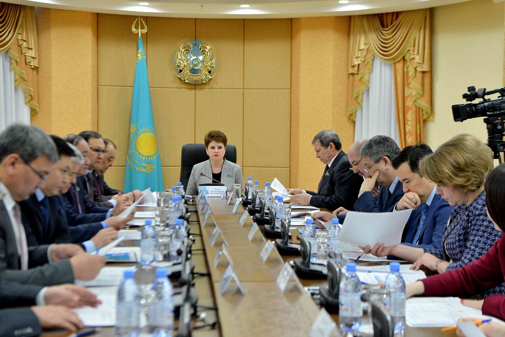 Сенаторлар мемлекеттік-жекешелік әріптестік жобаларын іске асыру мәселелерін талқылады