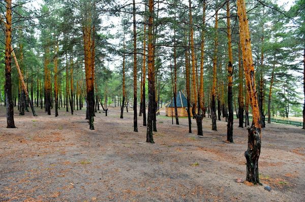 Шалқар-Имантау демалыс аймағын жаңғыртуға  1 млрд теңге жұмсалады