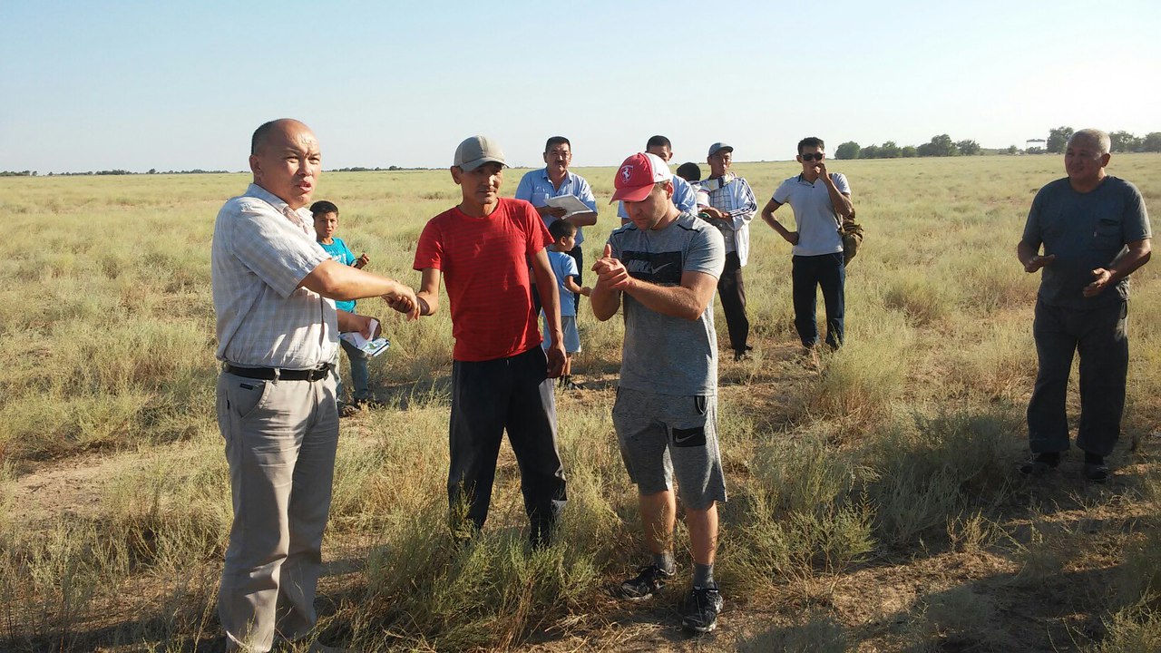 Туған жерге туыңды тік!