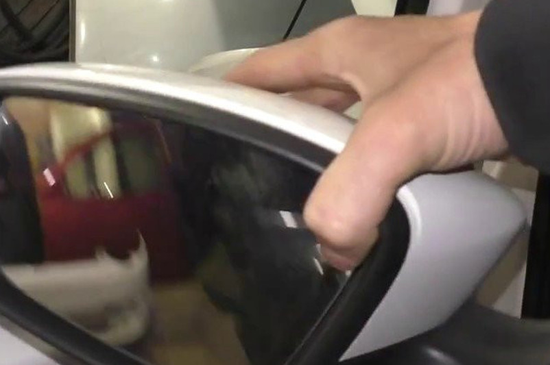 ҚР ІІМ Дмитрий Баландиннің көлігінің айнасы ұрланғанын растады