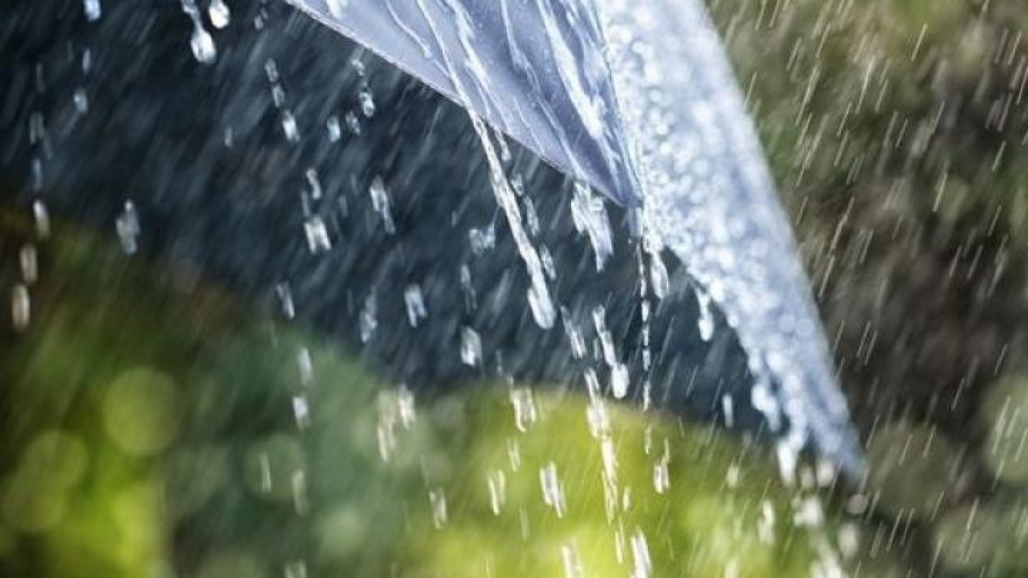 Бүгін еліміздің басым бөлігінде жаңбыр жауады