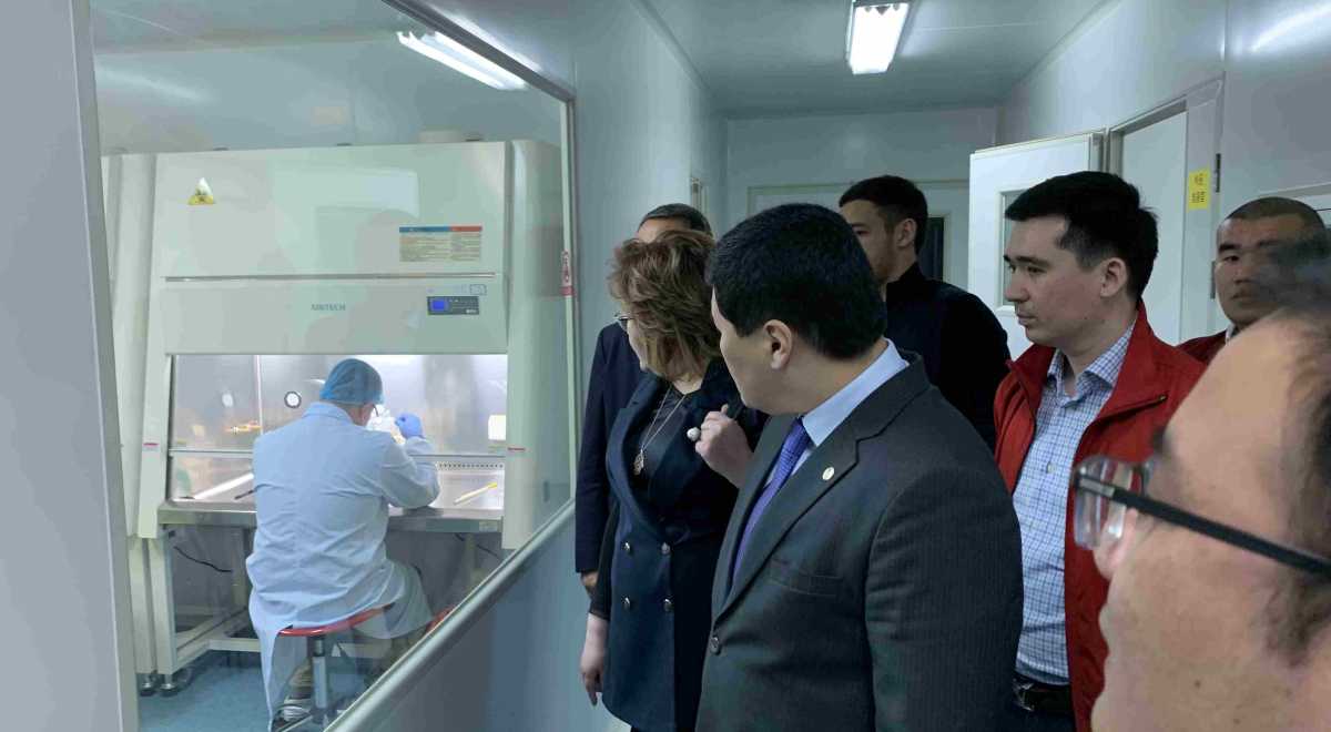 Қазақстандық экспорттаушылар қытайлық әріптестерімен ынтымақтастықты нығайтуда