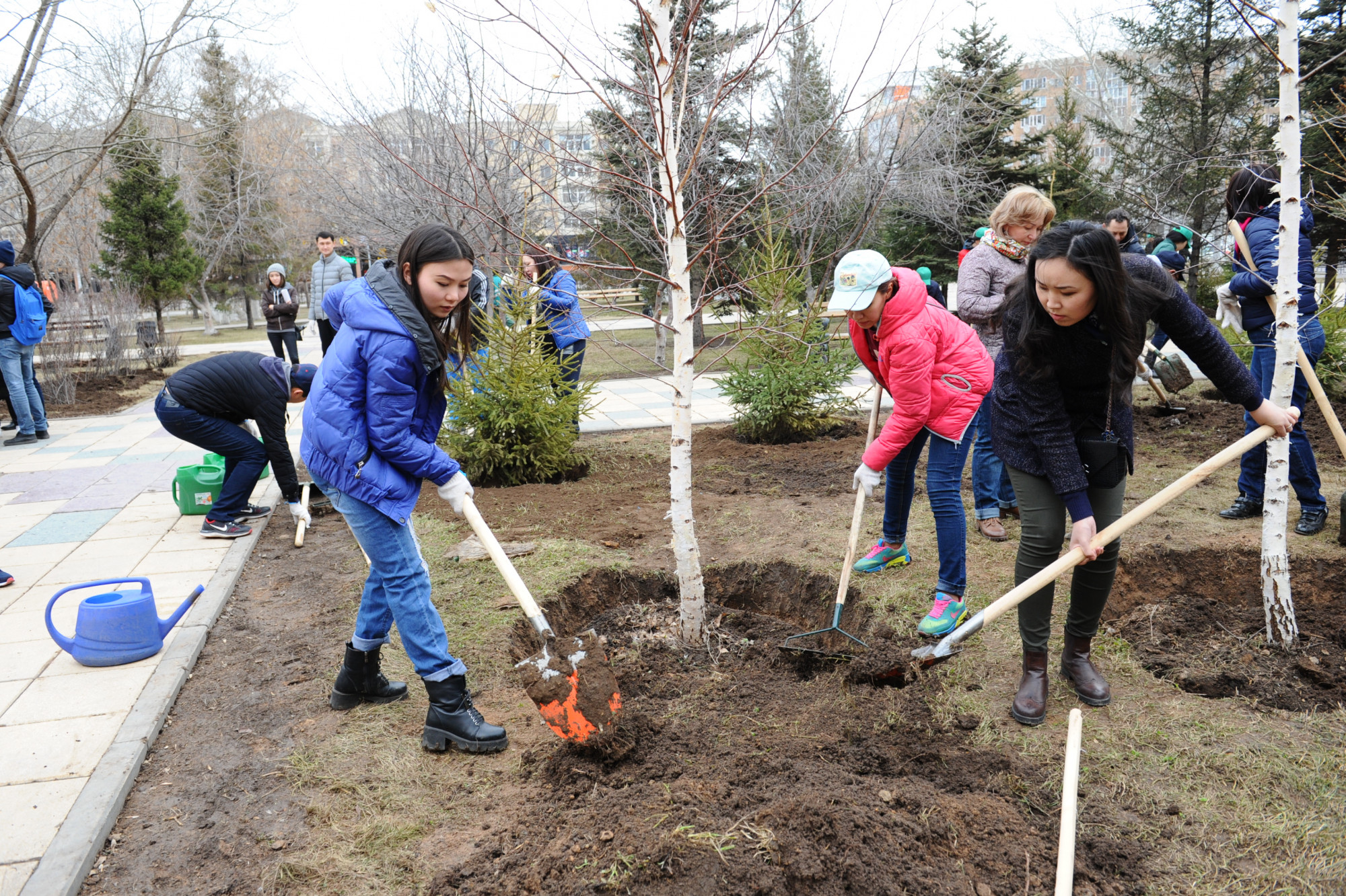 Нұр-Сұлтанда 1,6 мыңнан астам ағаш отырғызылады