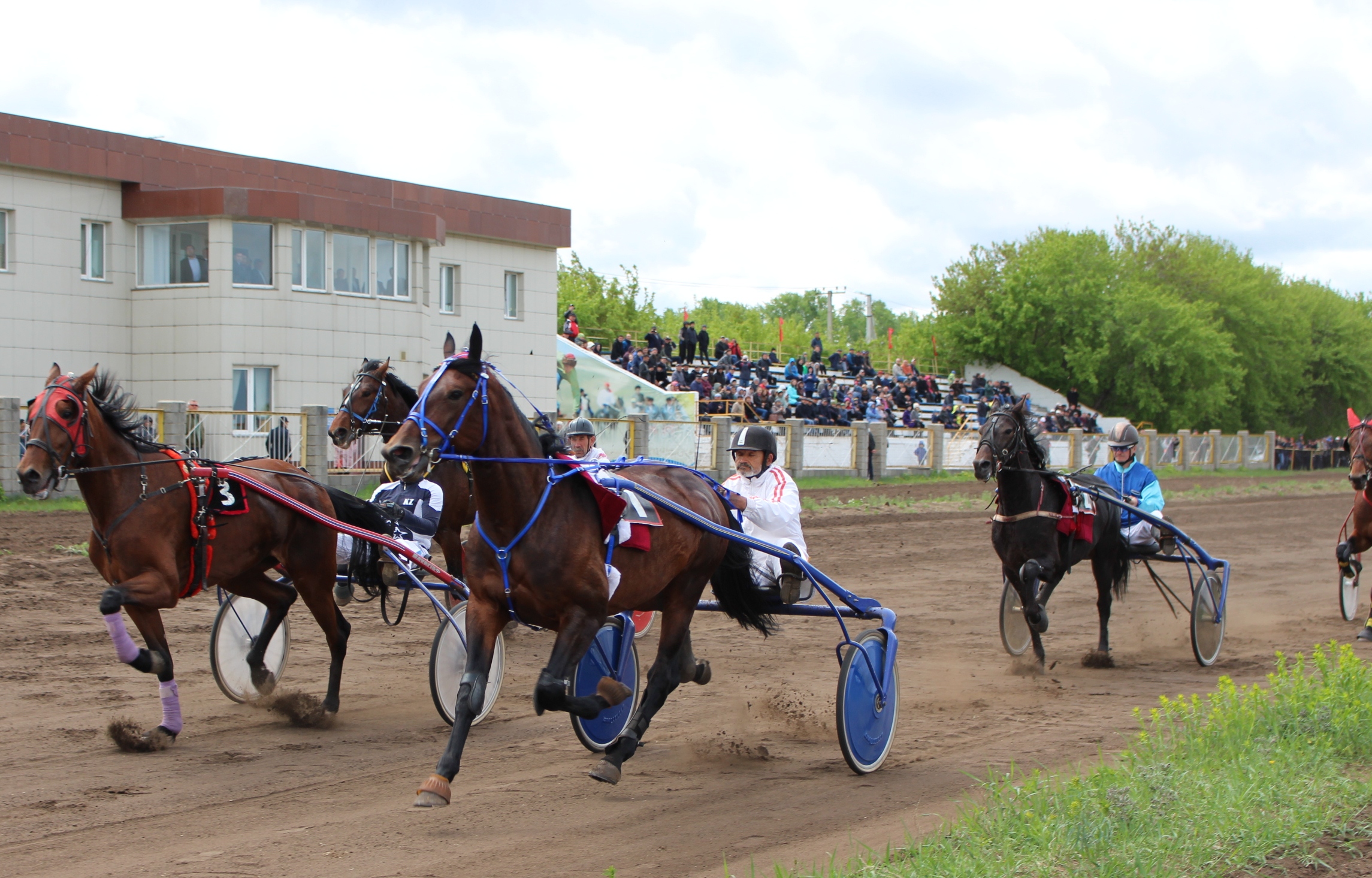 Солтүстік Қазақстанда жазғы спорт маусымы ашылды