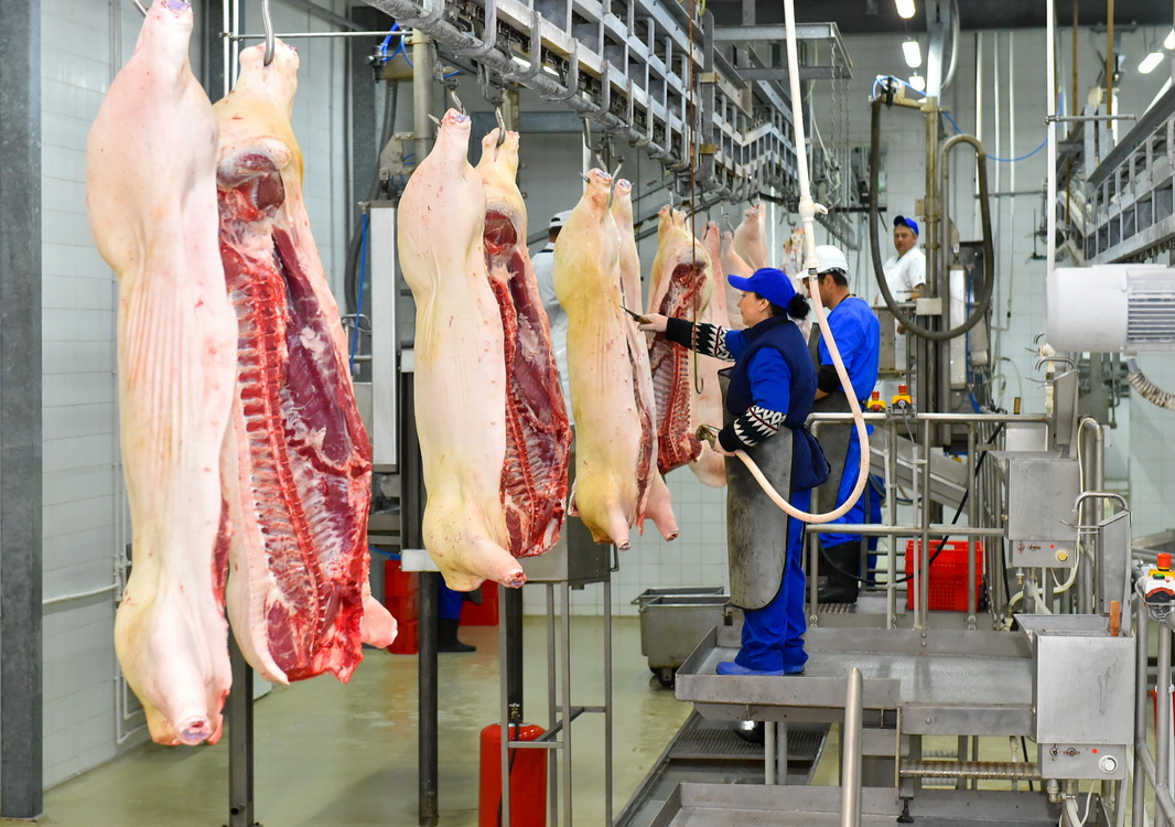 Орталық Азияда теңдесі жоқ ет комбинаты пайдалануға берілді