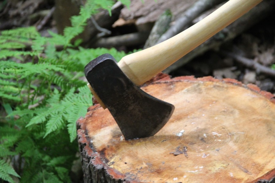 Ағашты еге жүріп,  кесетін жұртпыз...