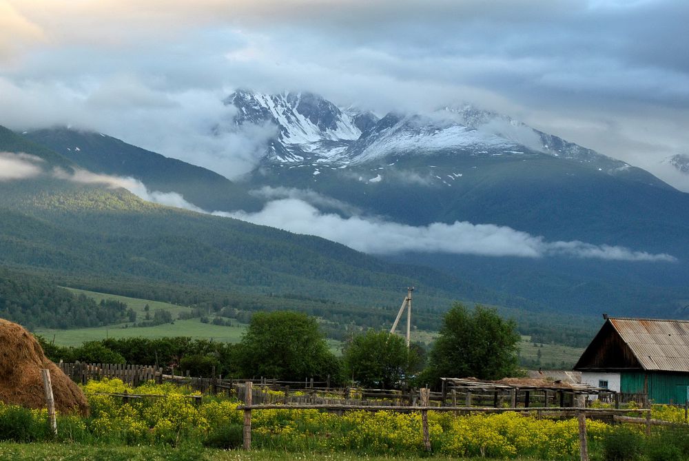 Әлемнің қылқалам шеберлері – Алтайда