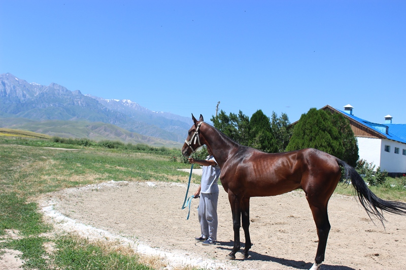 Жүйелі жұмыс нәтижеге бастайды