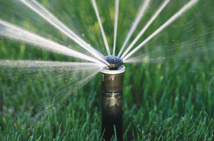 Тал-теректі суарудың жаңа тәсілі оң нәтиже бере ала ма?