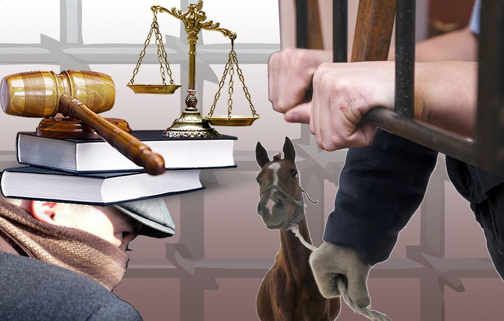 Мал ұрлаған қылмыстық топ сотталды