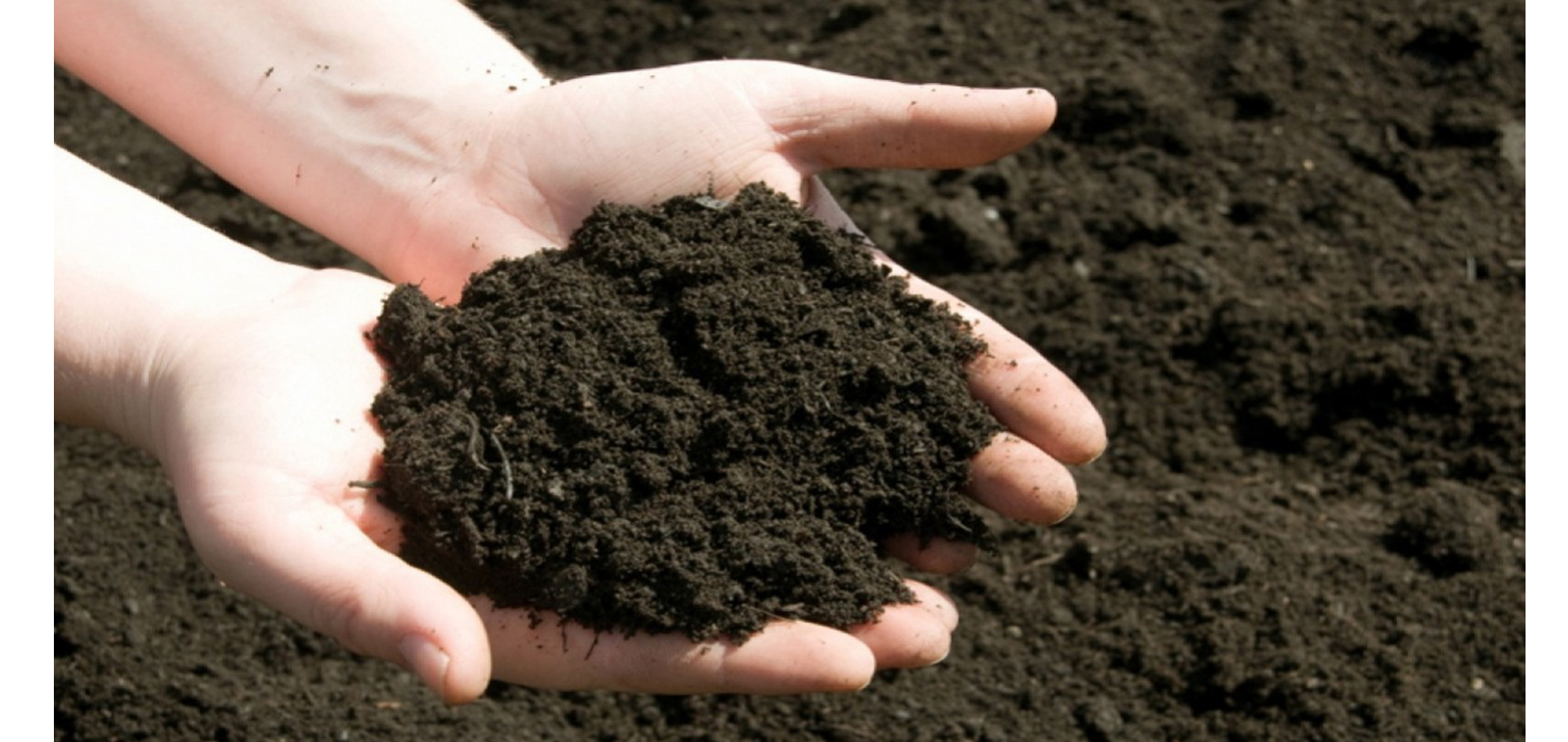 Жер құнарын жақсарту қажет