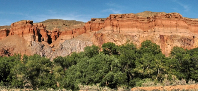 Ерен тоғайын сақтау парызымыз