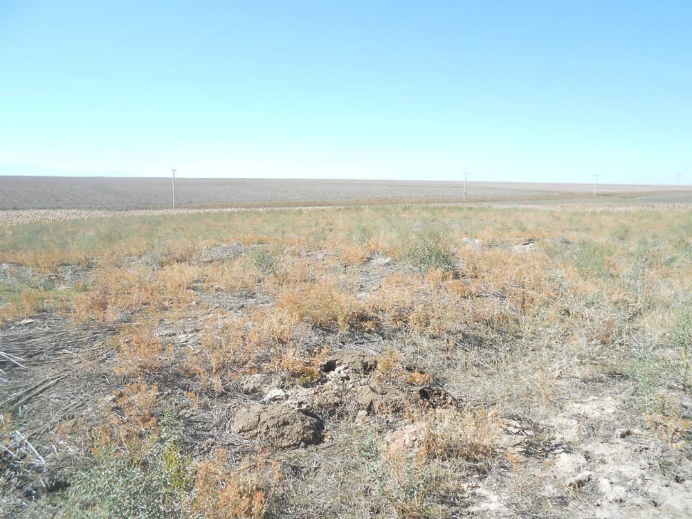 Сұмқайтты жазығының тарихи сыры көп