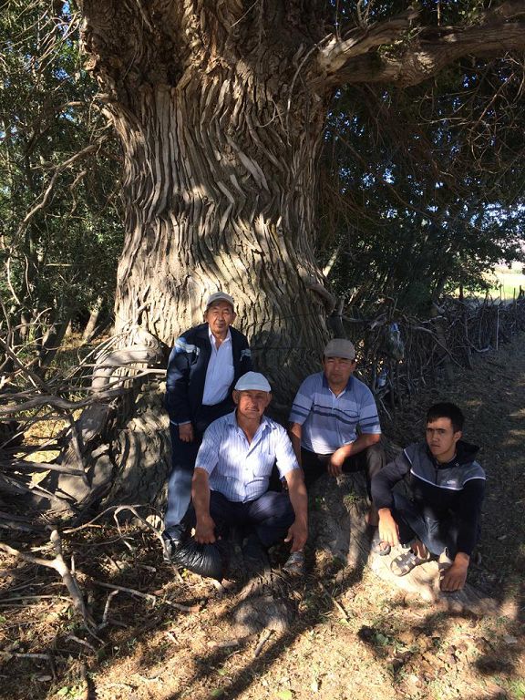 Балықшы әулие басында