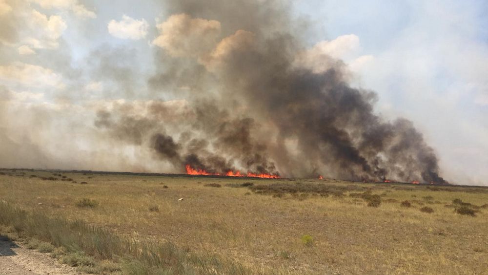 Дала өрті дамыл бермей тұр