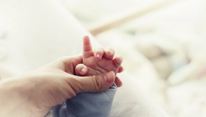 Ерте солған қызғалдақ