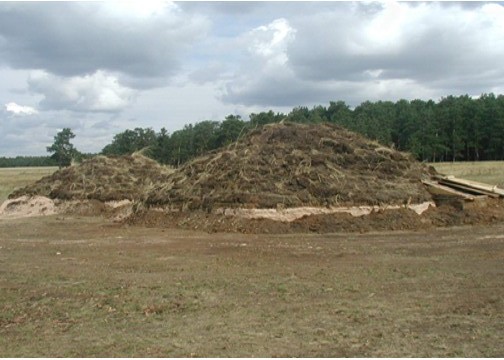 «Ботай» музей-қорығының құрылғанына бір жыл толды