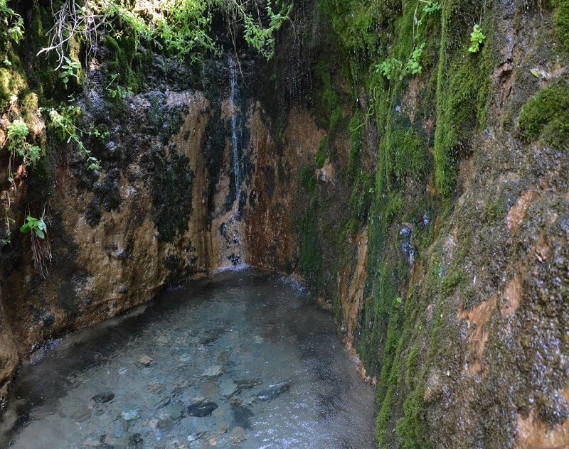 Қапалдың Тамшыбұлағы ағылшын еліне қалай танылды?