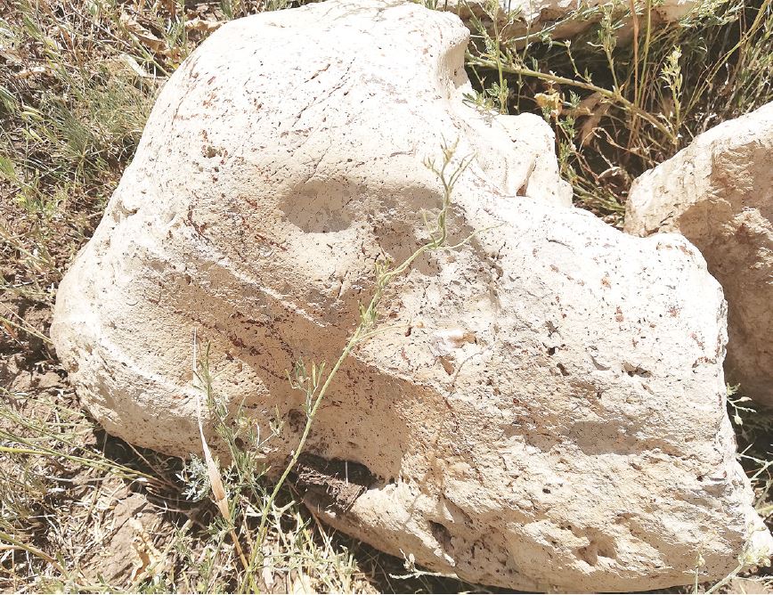 Қоңыртау метеориті