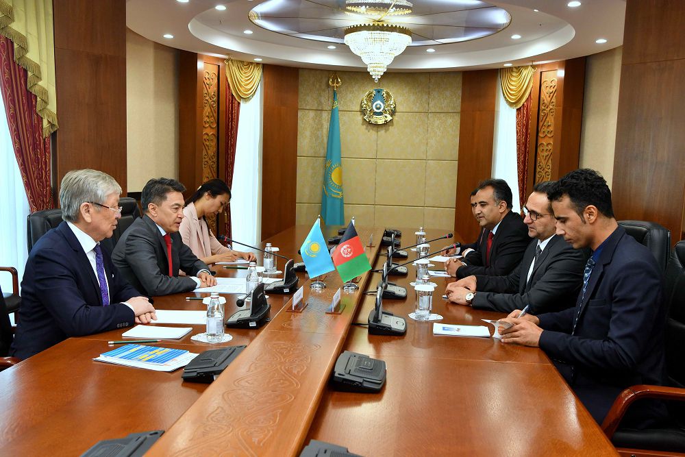 Сенат Төрағасының орынбасары Ауғанстан Парламенті жоғарғы палатасының вице-спикерімен кездесті