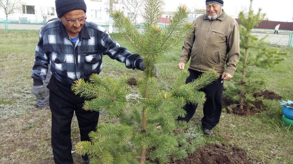 Үлкенге бізде ізет бар