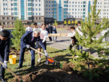 «Экологиялық сағат» акциясы аясында Бейбіт Атамқұлов ағаш отырғызды