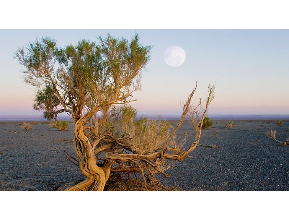 Әйелдердің үйдегі фотосы Париж сұмдық фото