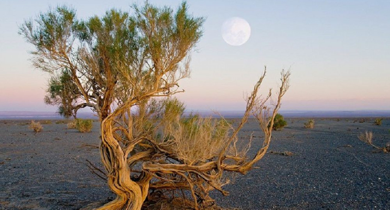 Хатшы порно видеоны қарап отыр