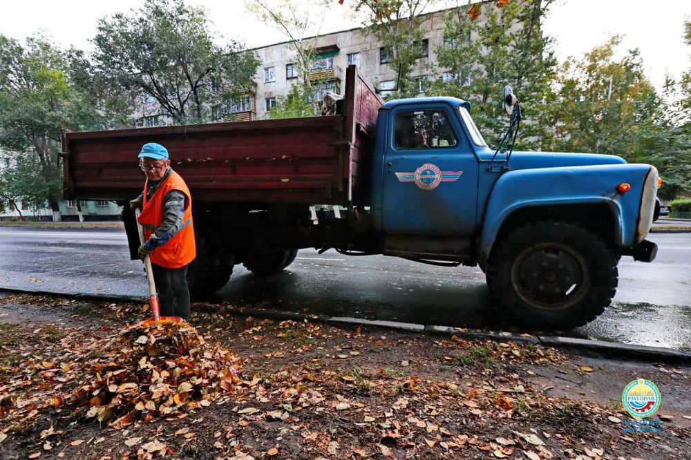 Сенбілікте жапырақты неге өртейміз?